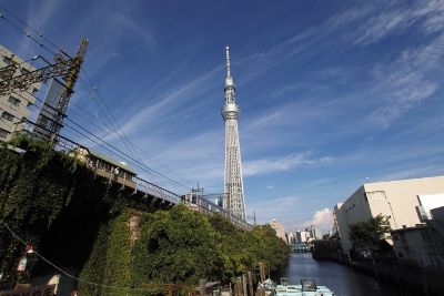 20120827.jpg