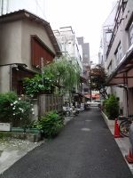 20110527.jpg