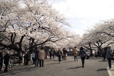 20130329.jpg