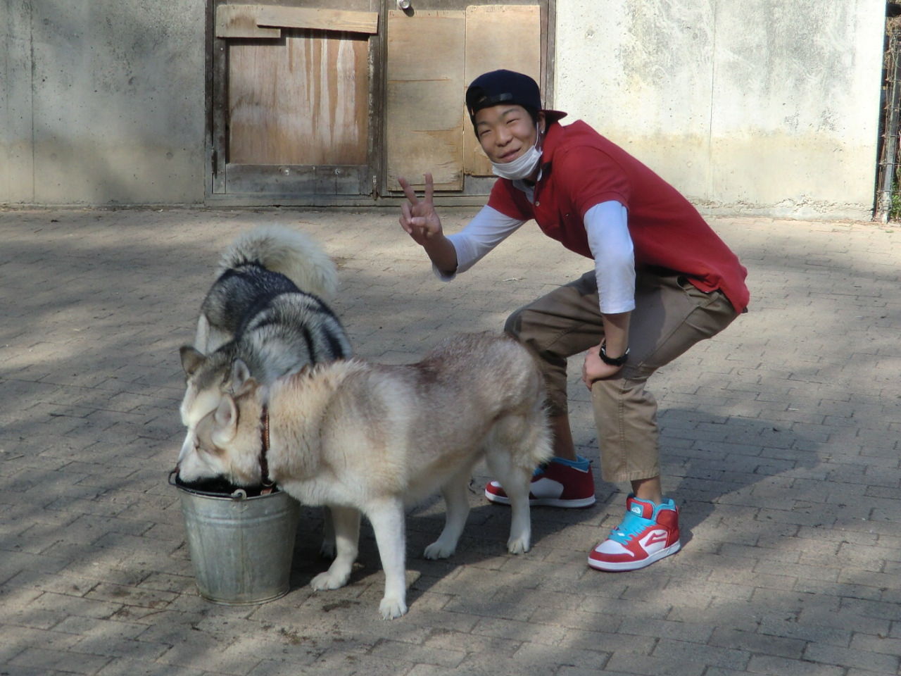 アローバンブー犬舎 心 和 仁 伝