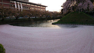 resize0394