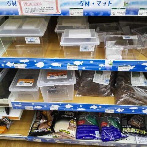 コーナン 八尾 ペットコーナーでか つまらんブログ