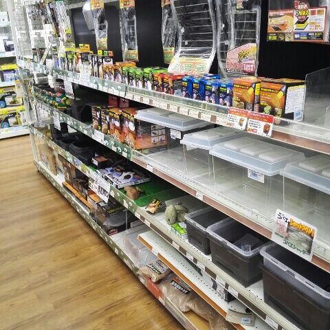 コーナン 八尾 ペットコーナーでか つまらんブログ