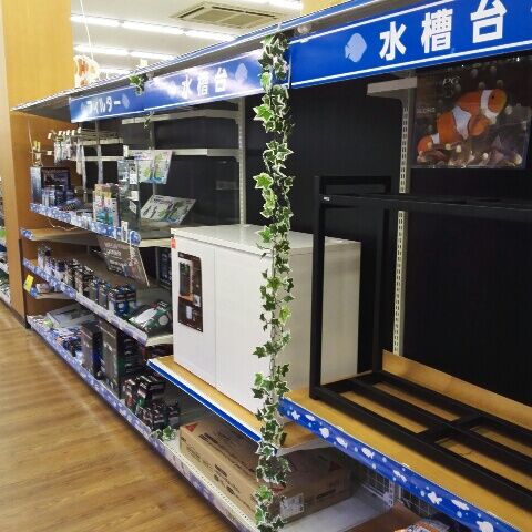 コーナン 八尾 ペットコーナーでか つまらんブログ