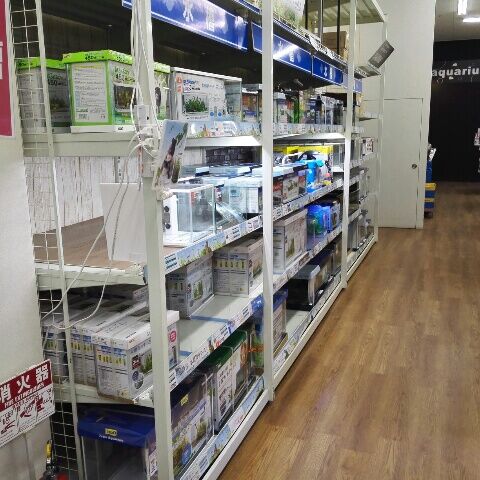 コーナン 八尾 ペットコーナーでか つまらんブログ