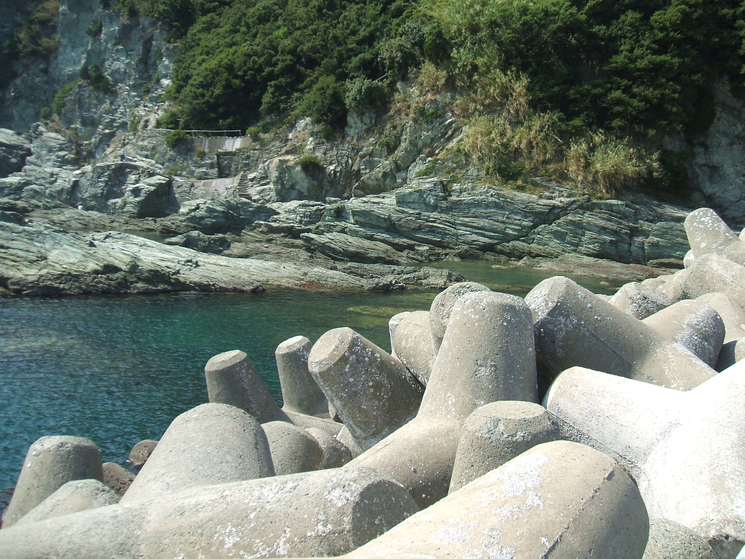 和歌山 雑賀崎 サビキ釣り 家族日記
