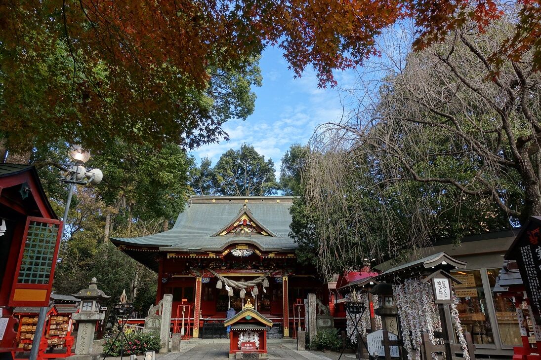 関東平野の片すみで
      太田市冠稲荷神社の紅葉
    コメント