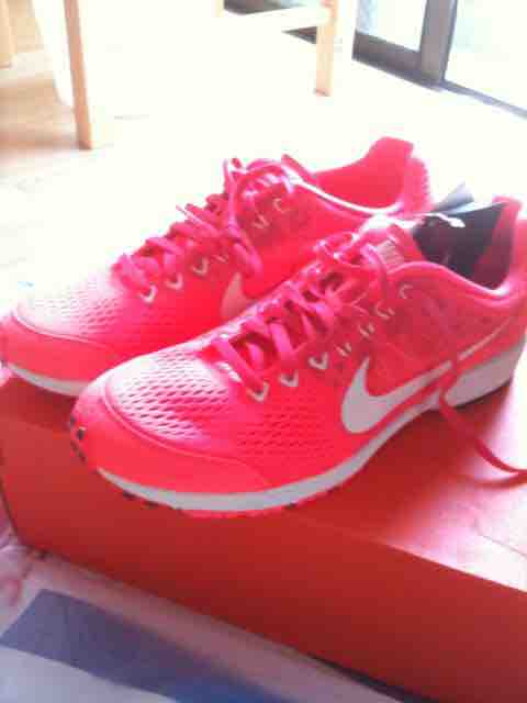 誰も興味がないであろう僕のシューズ遍歴 Nikeのみ 前編 胃弱ランナー官九郎のサブスリーへの挑戦日誌