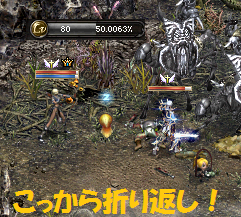 Lv81の折り返し地点