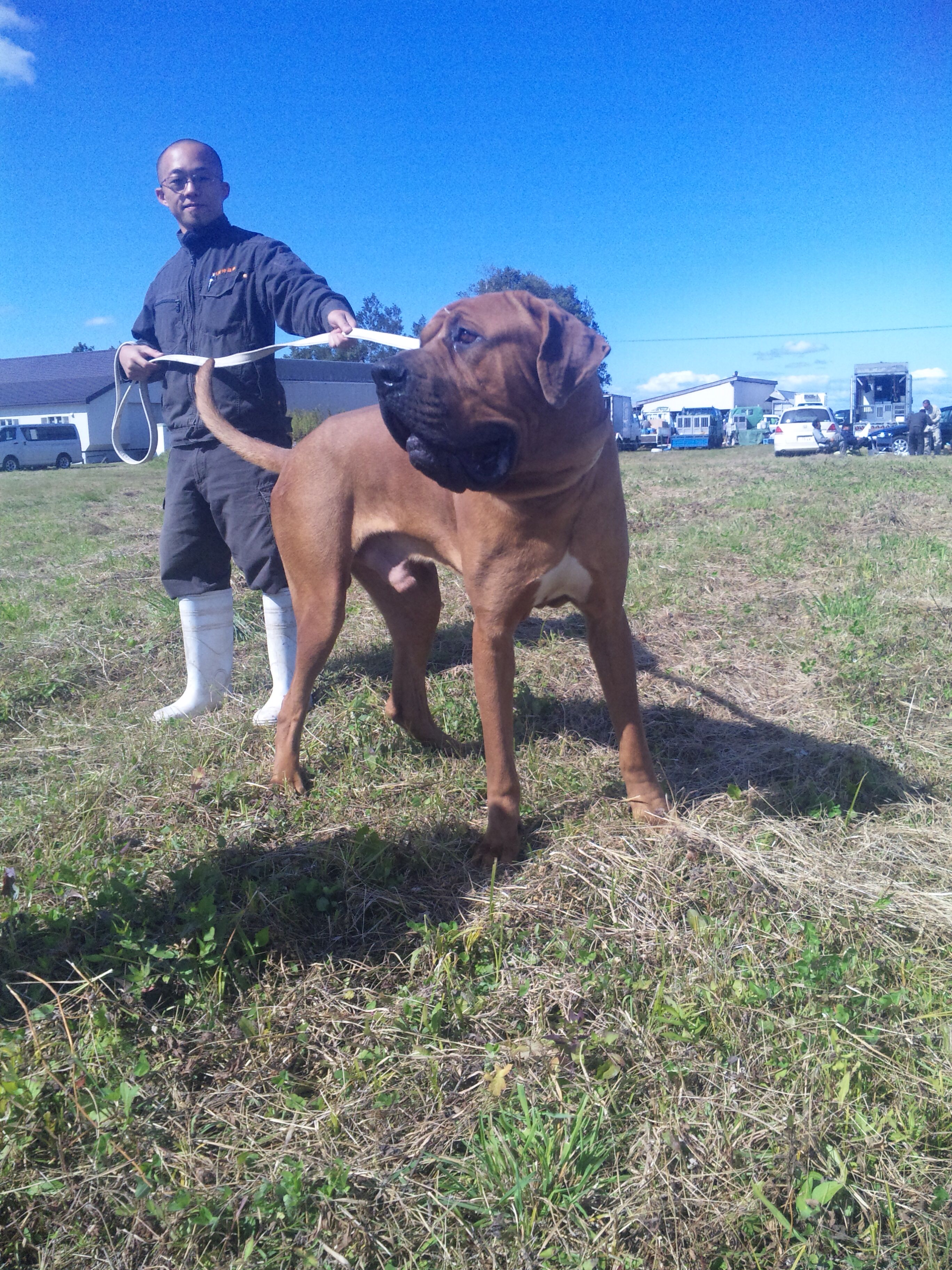 今日から Cherish チェリッシュ ブログ