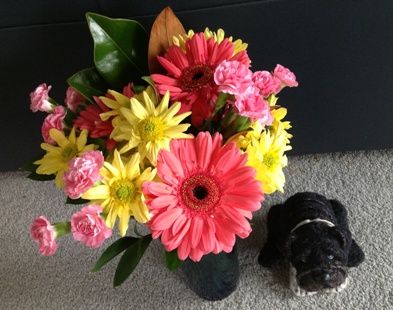 flower3