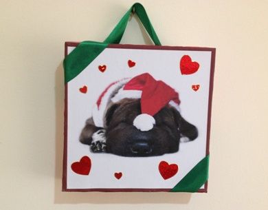 santa