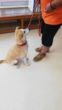 VID_20200826_113622_exported_6805_1598426798438