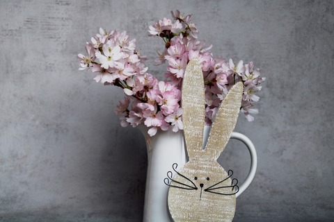 rabbit-gf00e0bb61_1920
