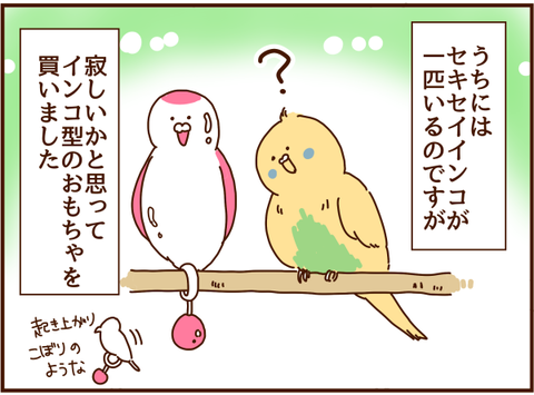 インコを見てふと頭をよぎること 顔で選んで 心で泣いて 人生の汚点 地獄の結婚生活 Powered By ライブドアブログ