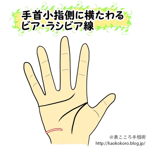 表こころブログ_ビアラシビア2