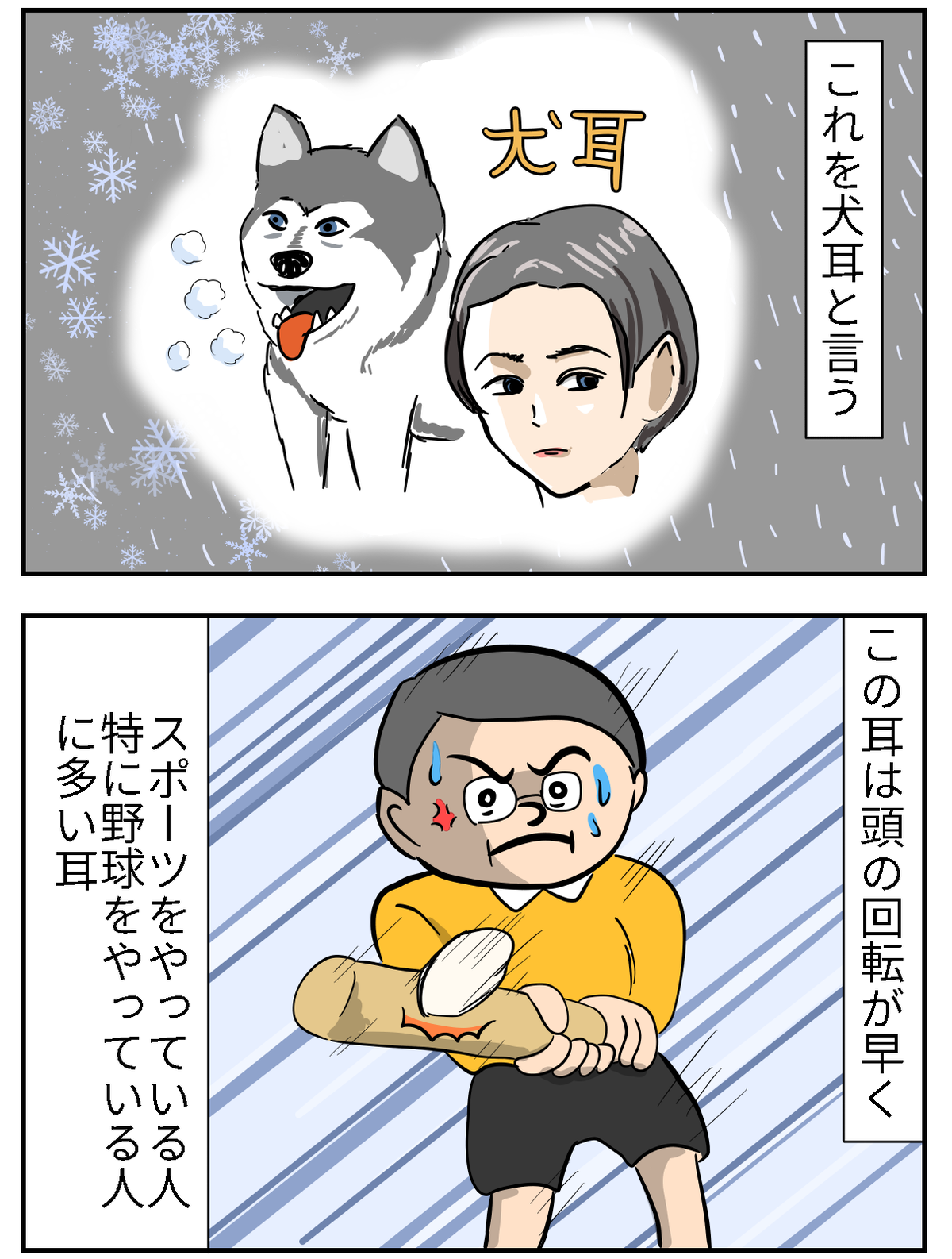 活動歴および当時の関連ビジュアル記録