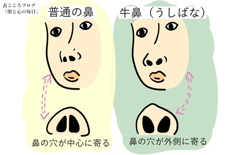 表こころブログ_キレやすい頭に血がのぼりやすい牛鼻3