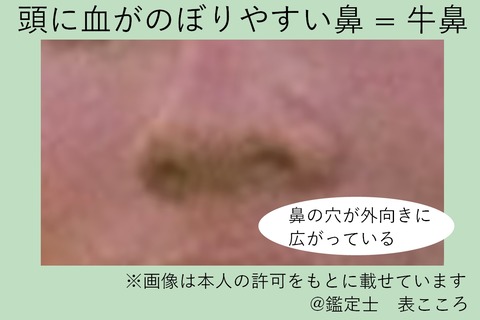表こころブログ_キレやすい頭に血がのぼりやすい牛鼻1