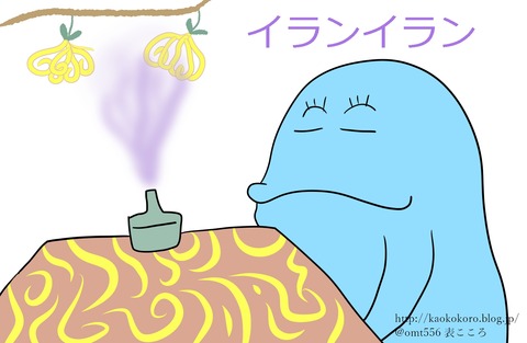 表こころブログ_イランイラン安眠1j
