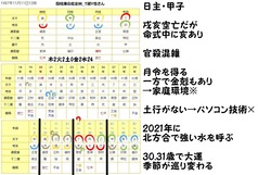 四柱推命鑑定例_T越Y也さん