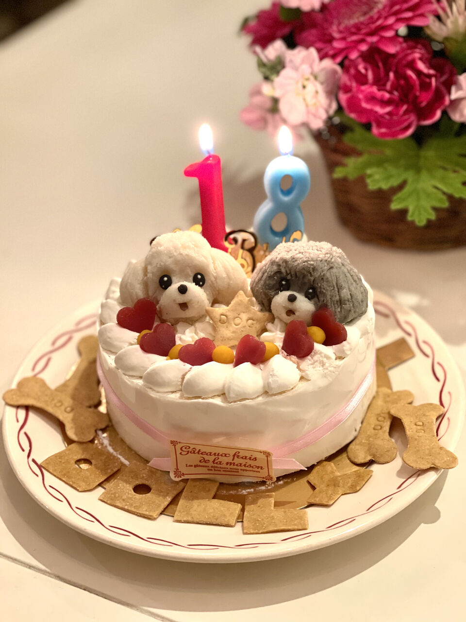 ドリー18歳の誕生日 ゚ ゚ Torico Lore ドリー18歳の誕生日 ゚ ゚ Torico Lore