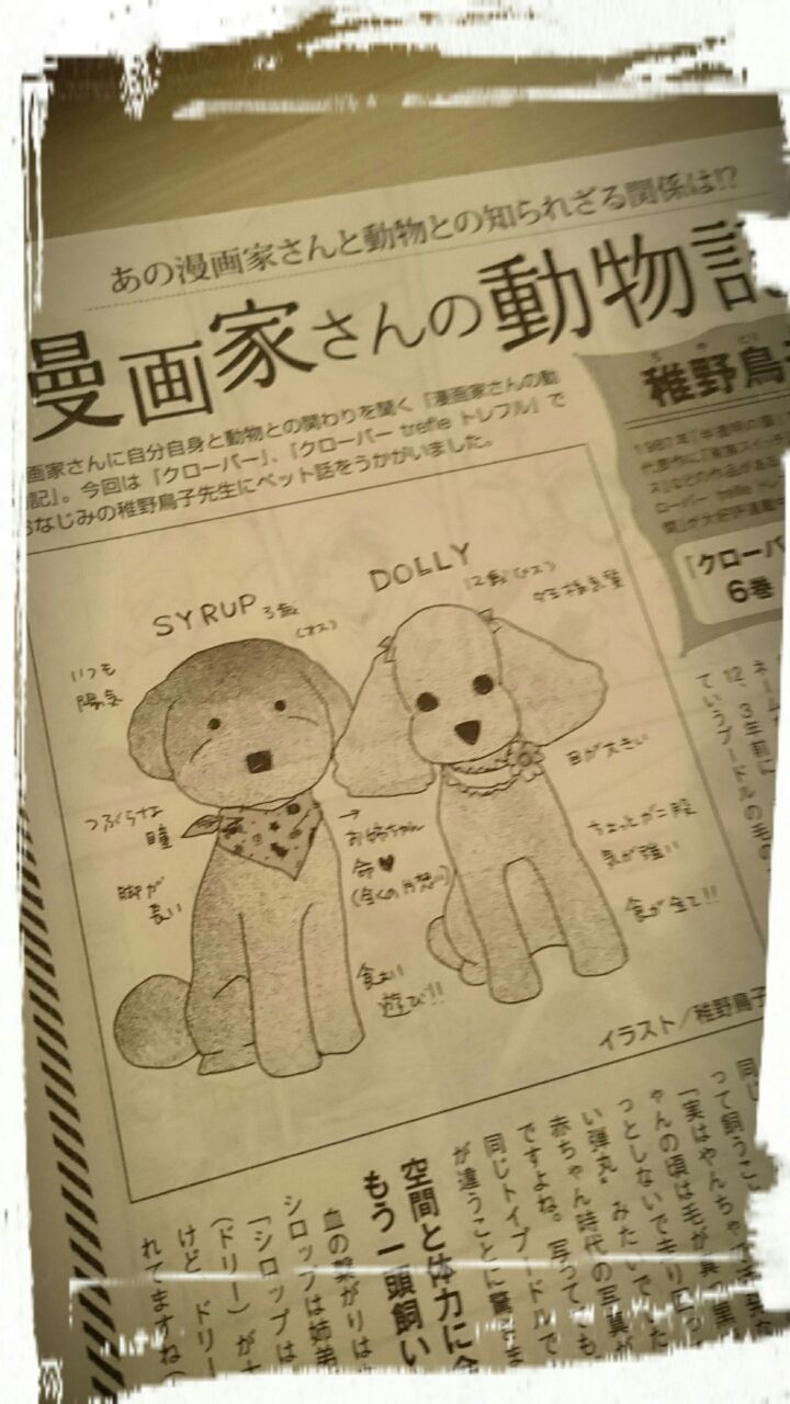 You2月号 漫画家さんの動物記 Toriko Lore You2月号 漫画家さんの動物記 Toriko Lore