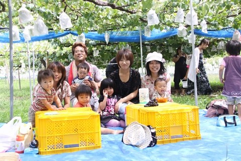 信州 長野県 生坂村 ぶどう狩り 巨峰狩り 季来里ふぁーむすずき