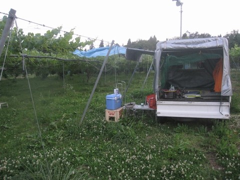 信州 長野県 生坂村 ぶどう 直売 きらりふぁーむ