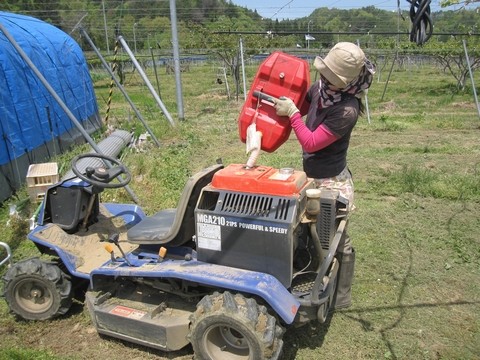 信州 長野県 生坂村 巨峰 きらりふぁーむ