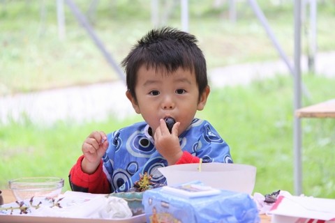 信州 長野県 生坂村 ぶどう狩り 巨峰狩り 季来里ふぁーむすずき