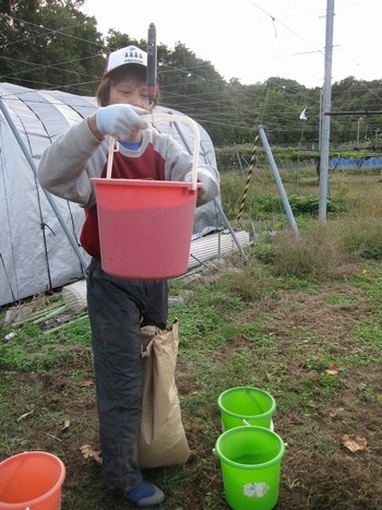信州 長野県 生坂村 ぶどう