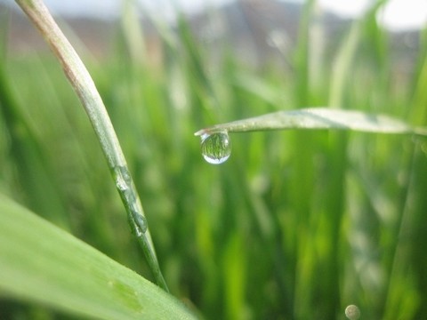 ¿®½£¡¡Ä¹Ì¡¡À¸ºä¼¡¡¡¡µ¨ÍèΤ¤Õ¤¡¡¼¤à¡¦¤¹¤º¤