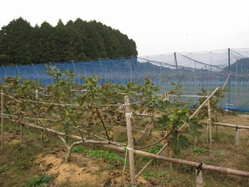 滋賀県 甲賀