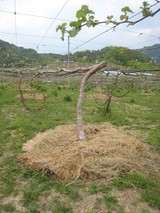 1c760a39.jpg