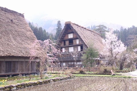 世界遺産 白川郷