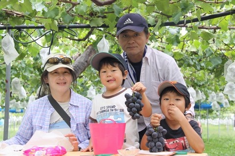 信州 長野県 生坂村 ぶどう狩り 巨峰狩り 季来里ふぁーむすずき
