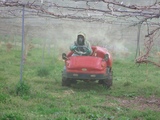 2009162a.JPG