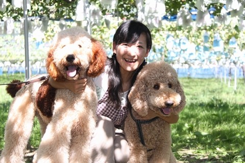 長野県 シャインマスカット ルーベルマスカット 直売 季来里ふぁーむすずき