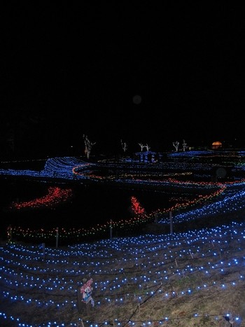 信州 長野県 国営アルプスあづみの公園 イルミネーション