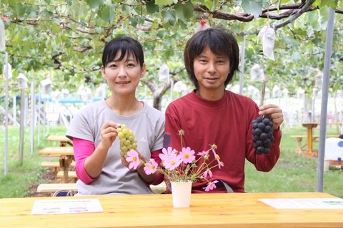 信州 長野県 生坂村 巨峰狩り 季来里ふぁーむ・すずき