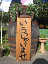 信州 長野県 生坂村 ぶどう狩り