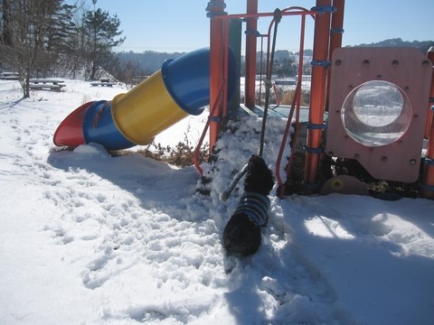 信州 長野県 生坂村 ぶどう