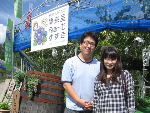 信州 長野県 生坂村 ピオーネ ナイヤガラ 販売