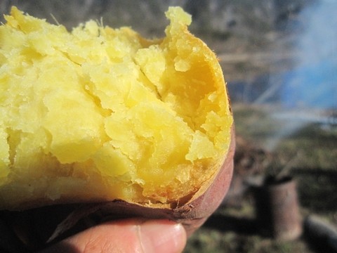 信州 長野県 生坂村 アウトドア 焼き芋