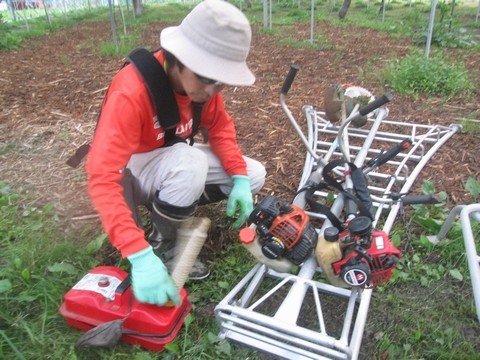 信州 長野県 生坂村 巨峰 季来里ふぁーむ・すずき