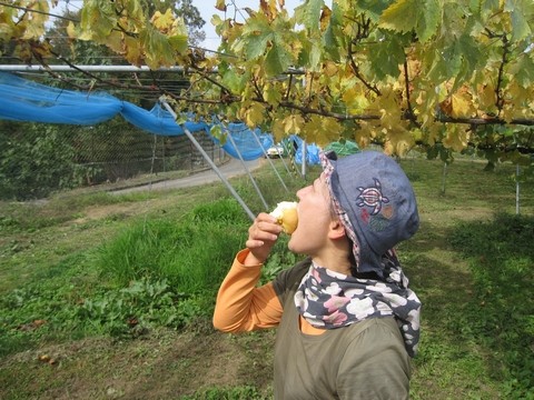 信州 長野県 生坂村 きらりふぁーむ