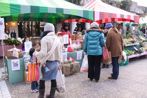 信州 長野県 生坂村 ぶどう