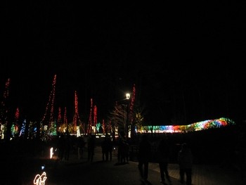 信州 長野県 国営アルプスあづみの公園 イルミネーション
