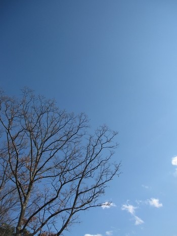 信州 長野県 松本市 アルプス公園